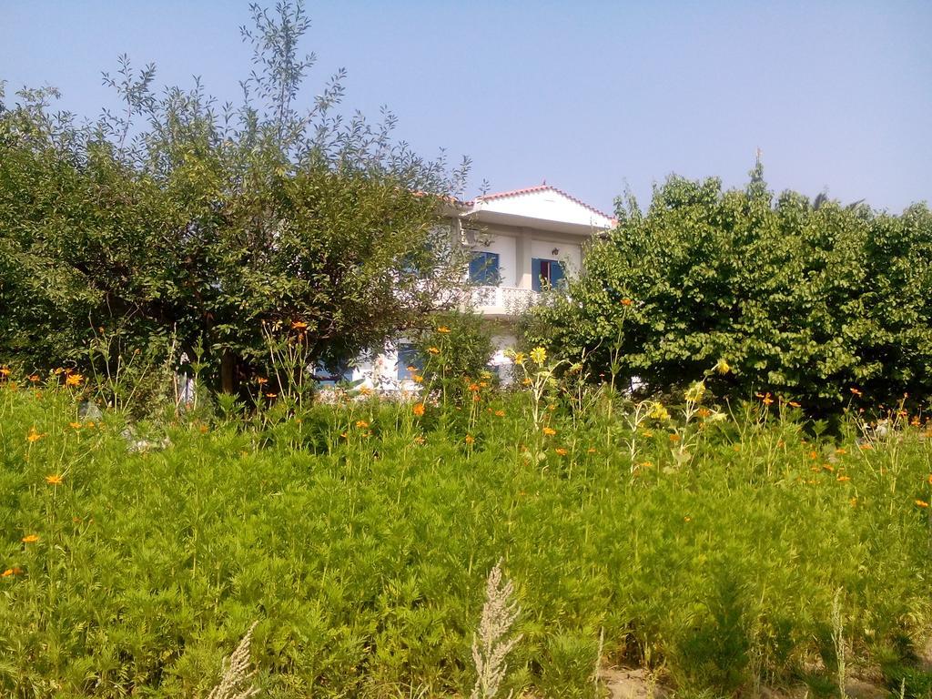 Guesthouse Karidia Skala Eresou Exterior foto